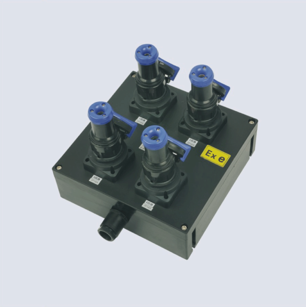 BXX8050-系列防爆防腐檢修電源插座箱(IIC、 ExtD)